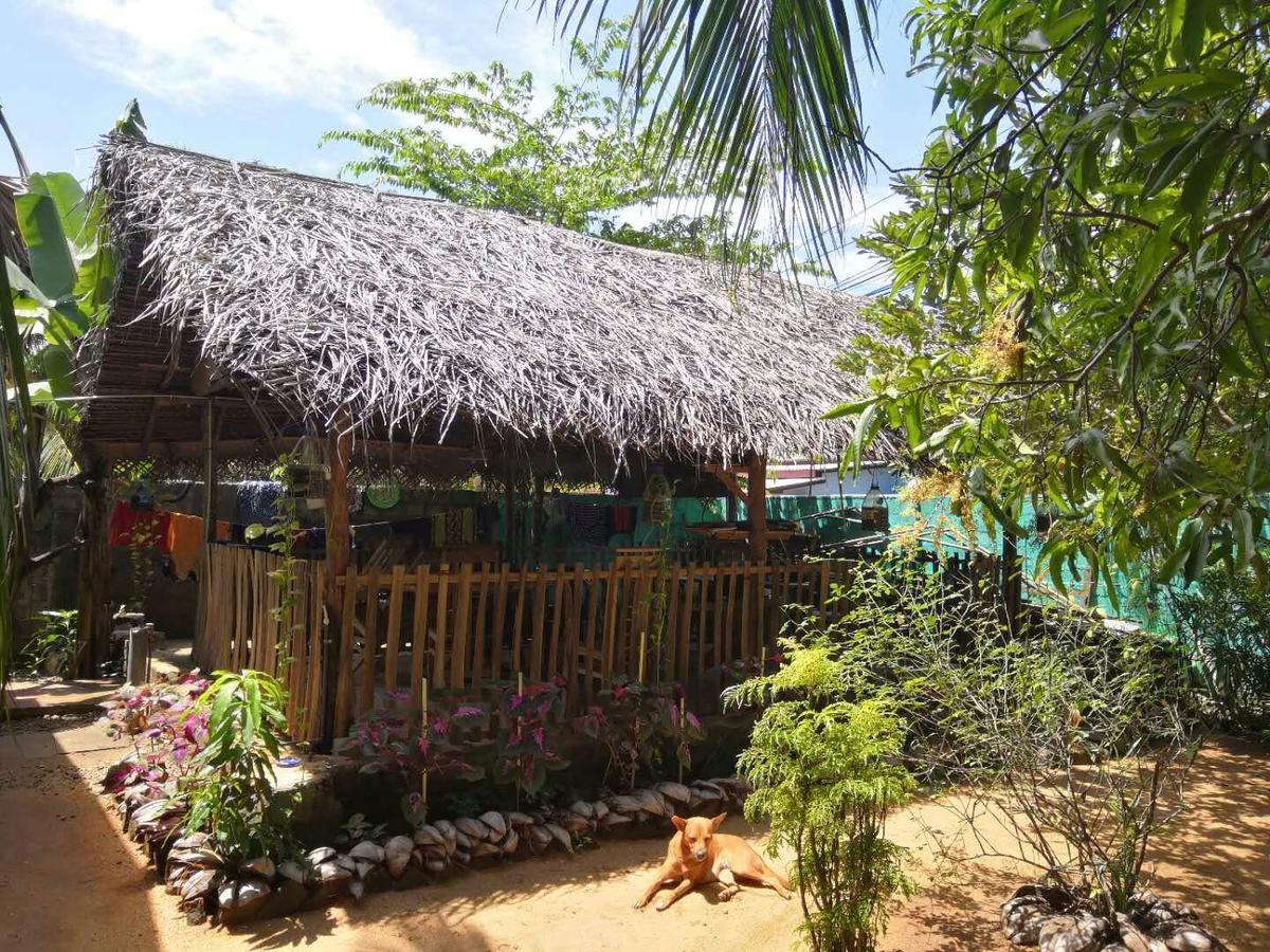 Alass Ga For Pets Lovers Trincomalee Luaran gambar