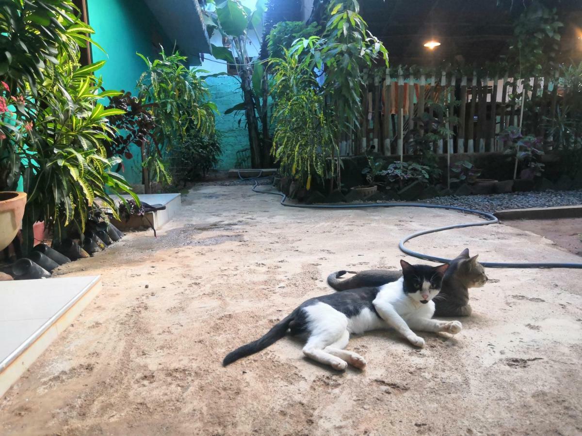 Alass Ga For Pets Lovers Trincomalee Luaran gambar