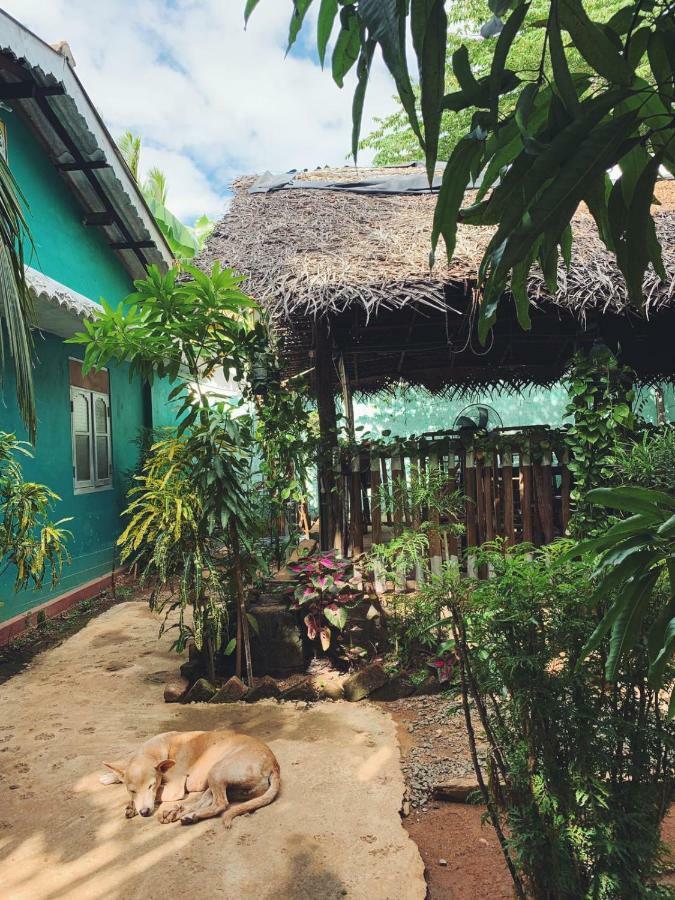 Alass Ga For Pets Lovers Trincomalee Luaran gambar